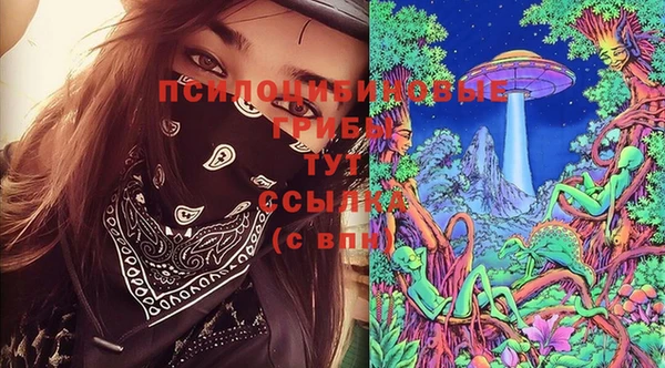 прущие грибы Красноперекопск