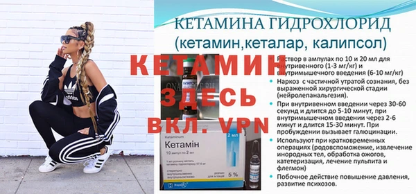 прущие грибы Красноперекопск