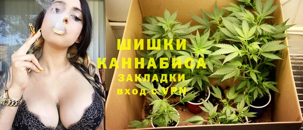 прущие грибы Красноперекопск