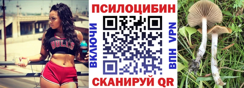 Псилоцибиновые грибы GOLDEN TEACHER  Кирово-Чепецк 