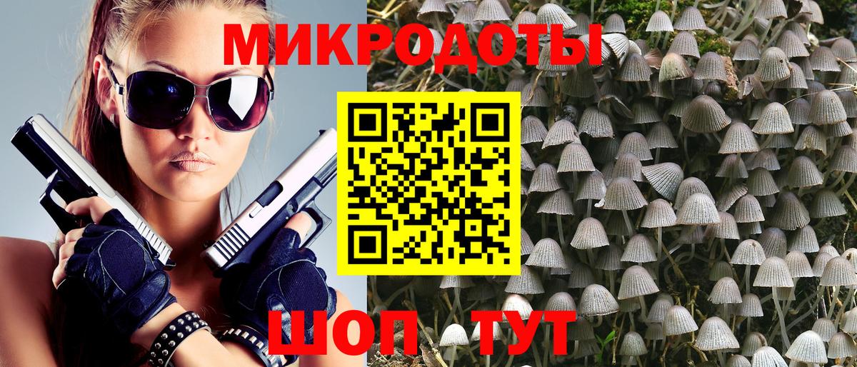 Кирово-Чепецк  Псилоцибиновые грибы Psilocybine cubensis  Вход с VPN 